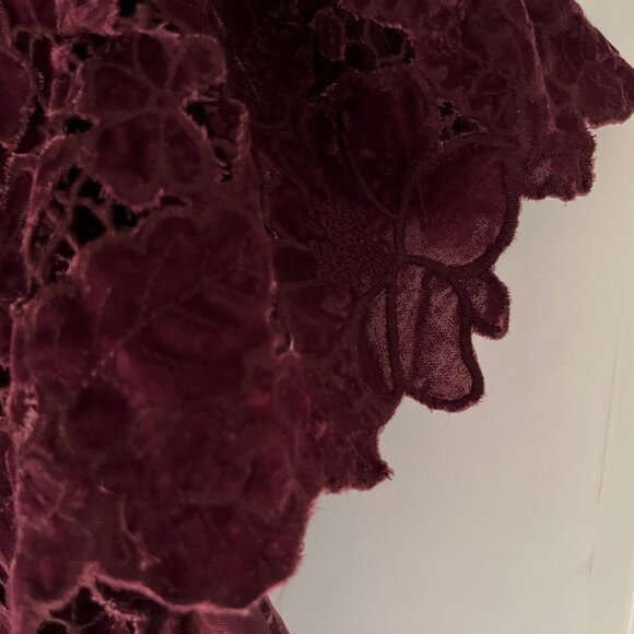 Anthropologie Burgandy Velvet Flutter Sleeve Top - Picture 2 of 9